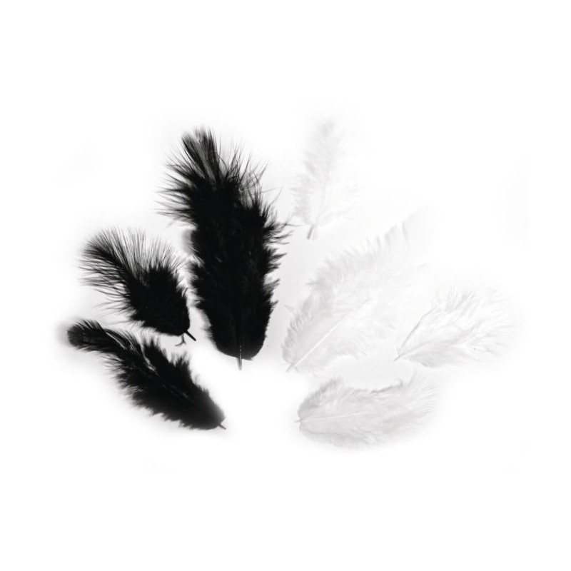Mélange de plumes noir/blanc Mélange de plumes noir/blanc