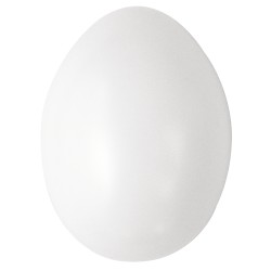 Oeuf en plastique
