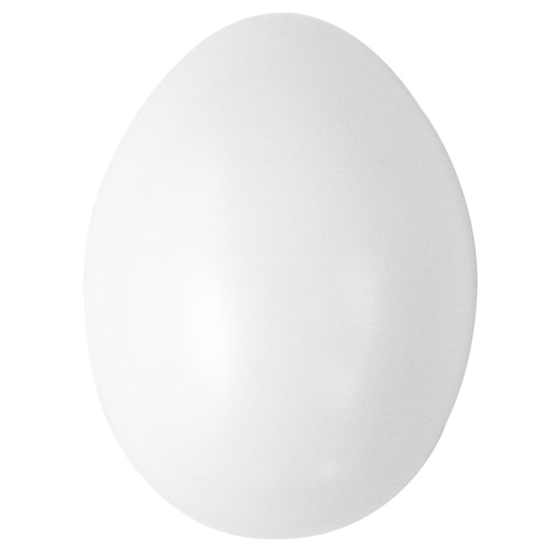 Oeuf en plastique Oeuf en plastique