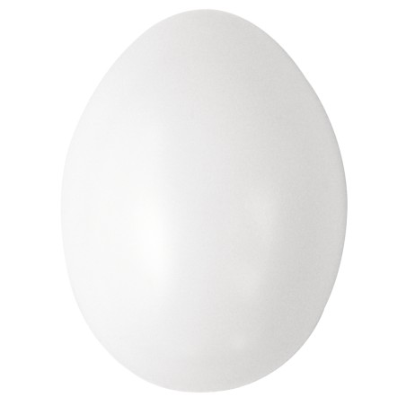 Oeuf en plastique