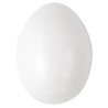 Oeuf en plastique
