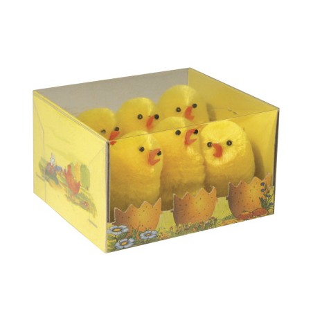 Poussins en chenille de soie - boite