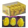 Poussins en chenille de soie - boite