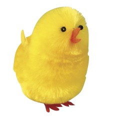 Poussins en chenille de soie à l'unité