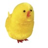 Poussins en chenille de soie à l'unité