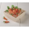 Cotton carrot