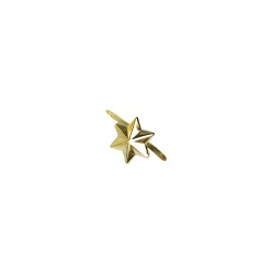 Fancy Parisian fasteners