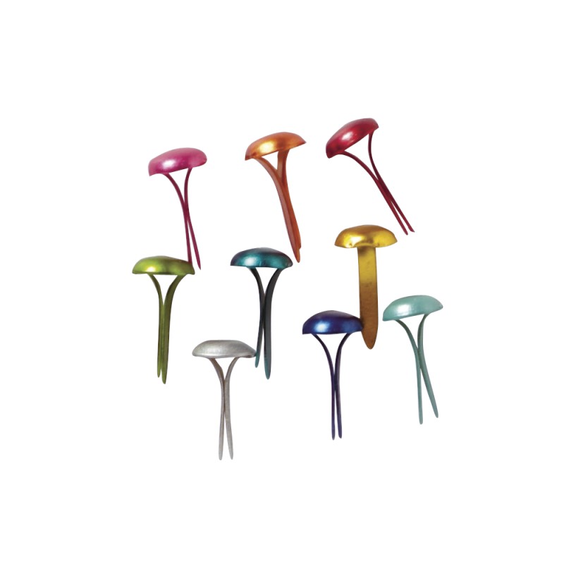 Attaches parisiennes - couleurs assorties 4mm
