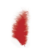 Divers : Plumes, Animaux, Fruits...